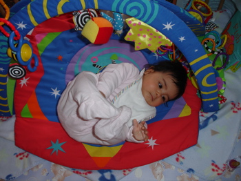 Rollover 2.jpg